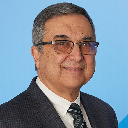 Ahmet Palazoglu